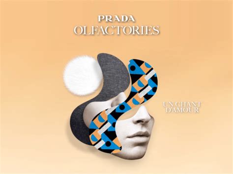 prada (@oli